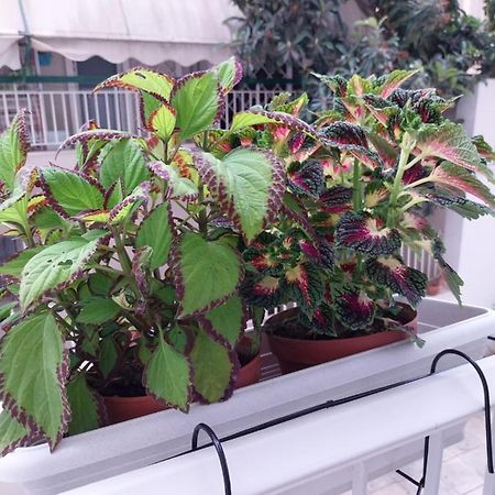 Athens Lovio Apartment Екстериор снимка