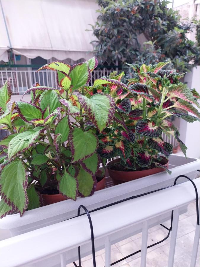 Athens Lovio Apartment Екстериор снимка